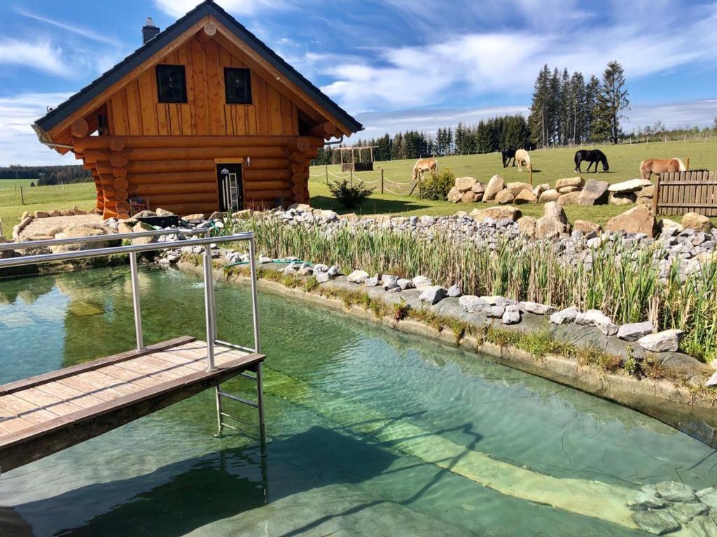 Naturstammhaus Und Appartements Zum Brockenbaecker Tanne Eksteriør bilde
