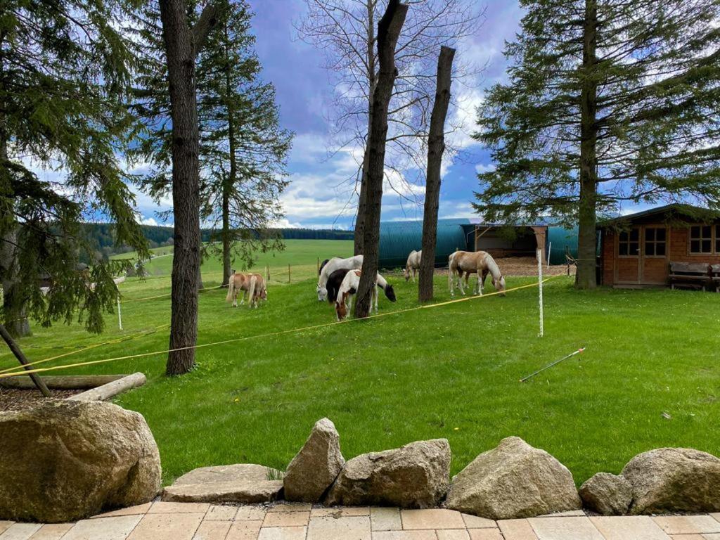 Naturstammhaus Und Appartements Zum Brockenbaecker Tanne Eksteriør bilde